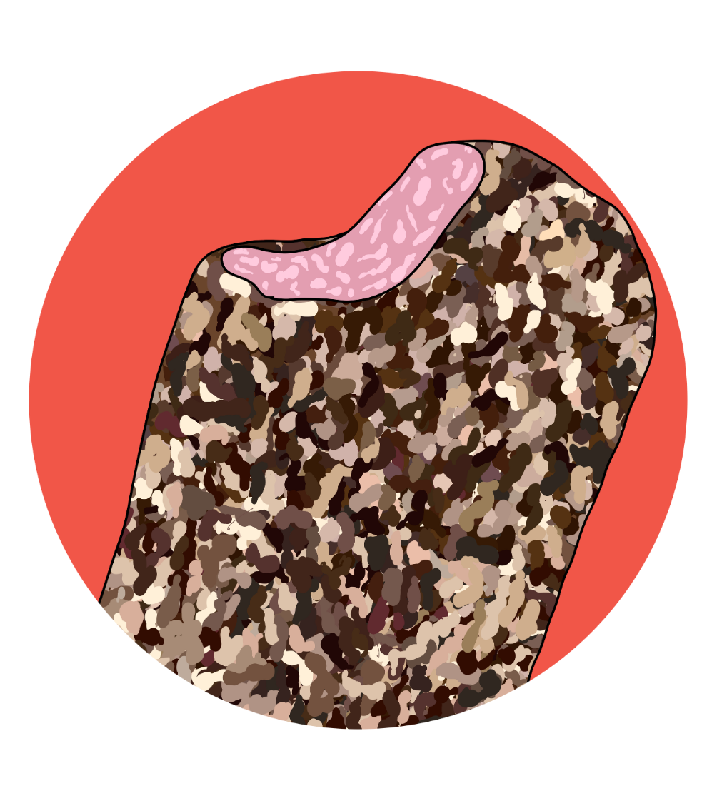 Rocky Road Magnets