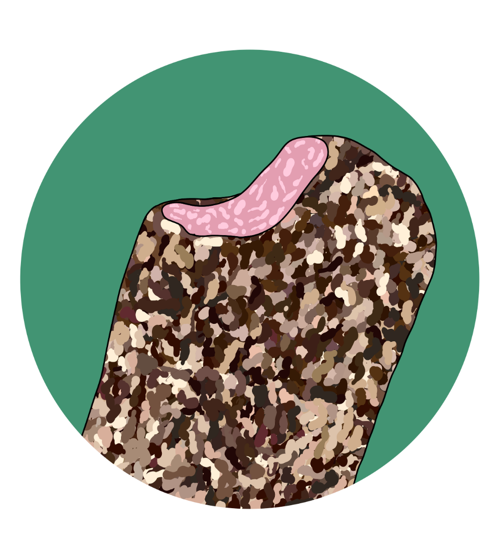Rocky Road Magnets