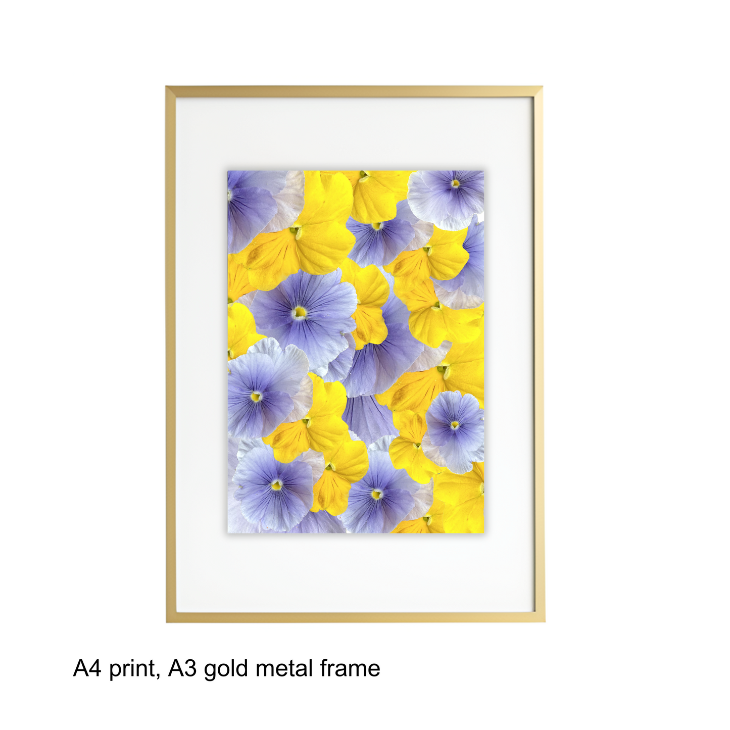 Blue Violas Art Print - for Hospice