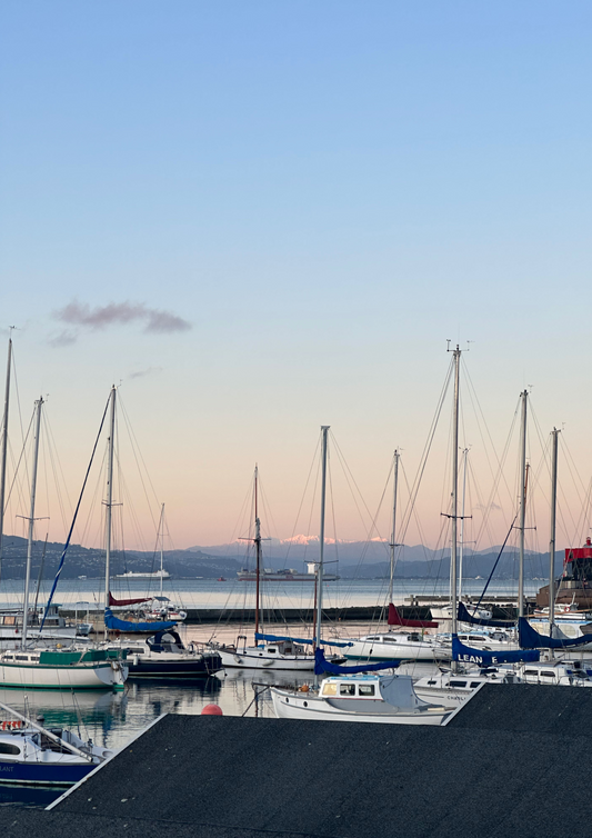 Wellington Harbour at Dusk