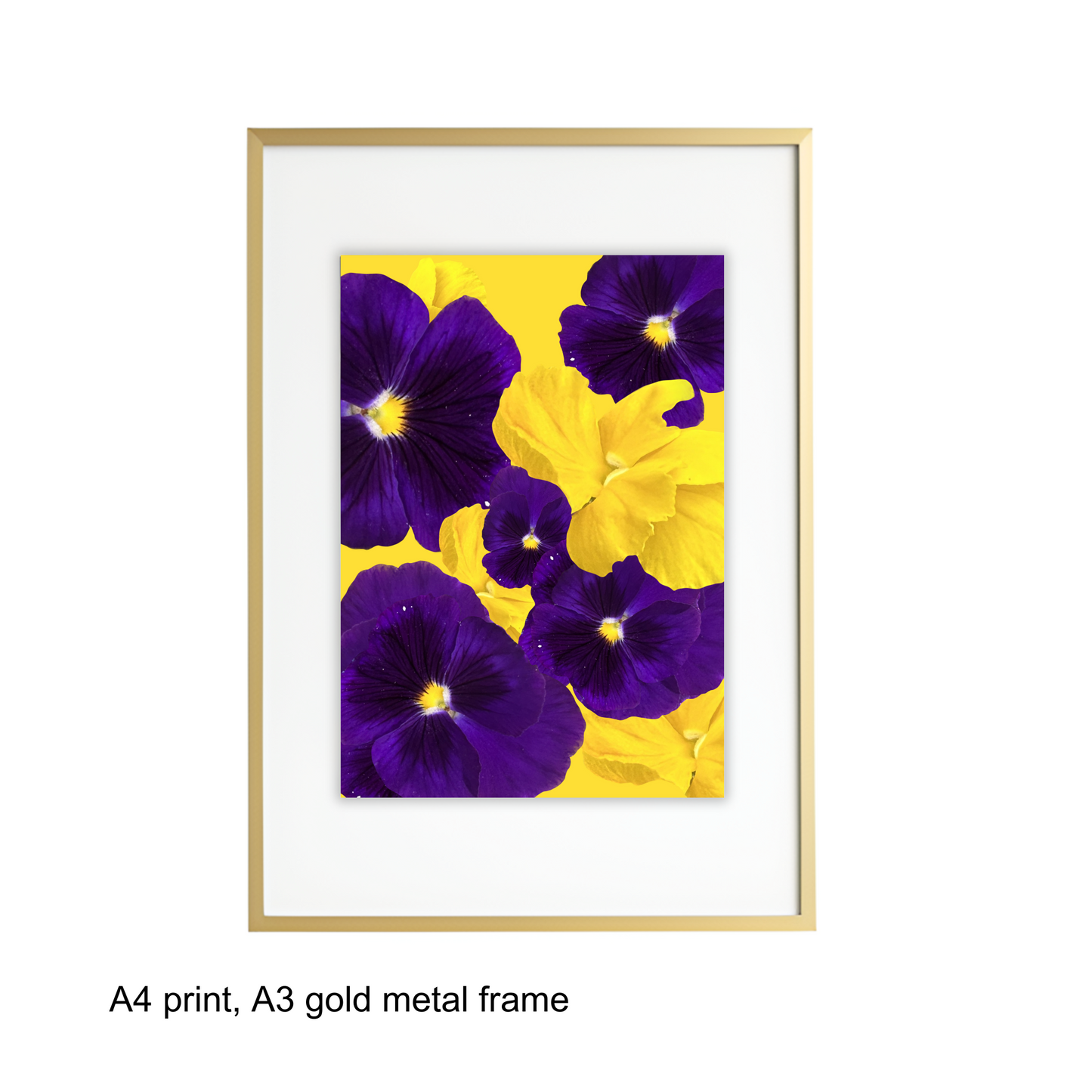 Purple Violas Art Print - for Hospice