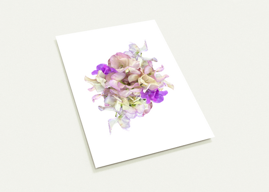 Sweet Pea Card - for Hospice